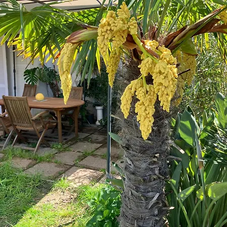 Apartamento Le Bodole